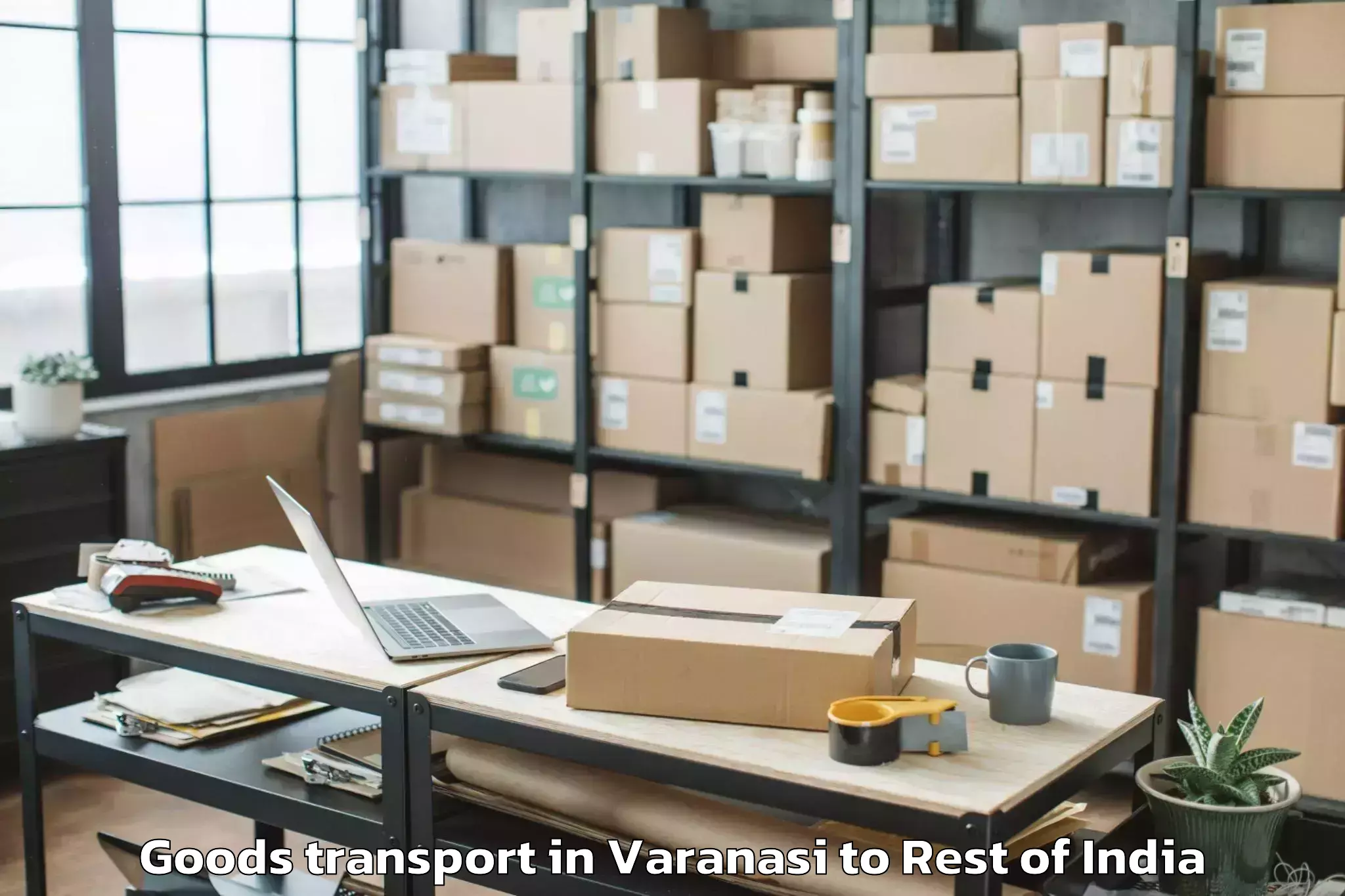 Trusted Varanasi to Wankidi Kalan Goods Transport